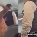 Alexander Tung Cuu Le