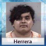 William Hayden Fitzpatrick